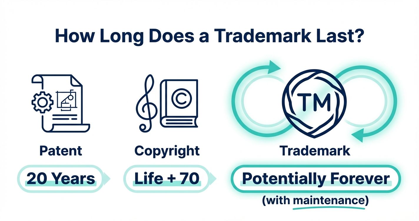 How Long Does a Trademark Last? Durations, Renewals, and Deadlines